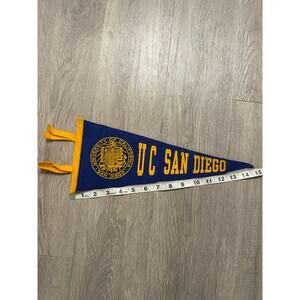 Vtg Small UC San Diego UCSD Tritons Penant Flag